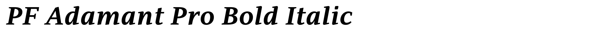 PF Adamant Pro Bold Italic image